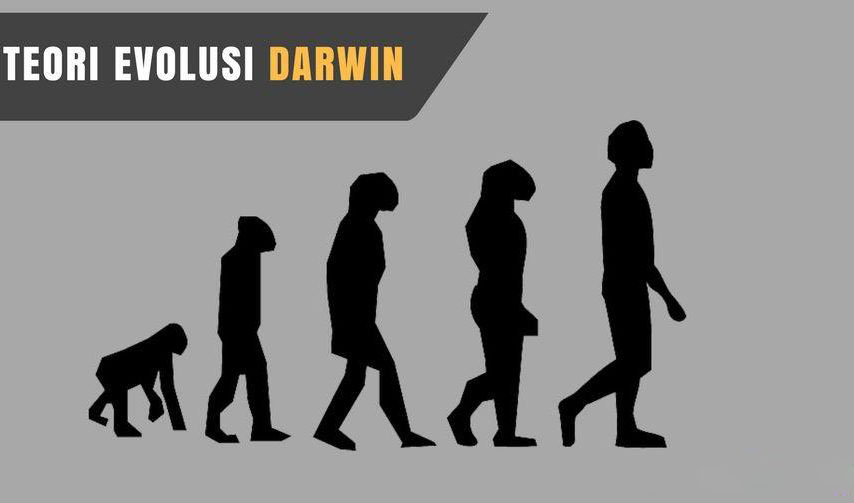 Ketahui Teori Evolusi Darwin