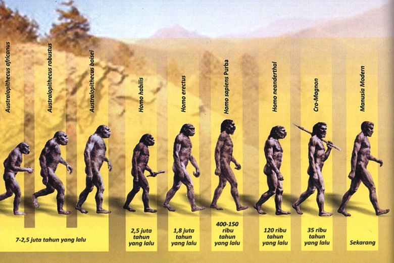 Belajar tentang Teori Evolusi