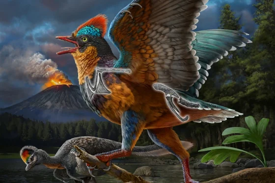 Misteri Evolusi Burung Dari Dinosaurus Yang Mengagumkan